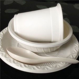一次性環（huán）保（bǎo）餐具