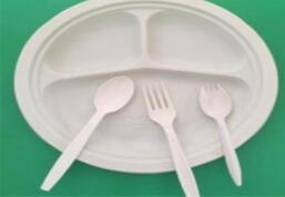 一次性餐（cān）具廠家