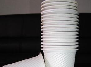 一次性玉米澱粉餐具